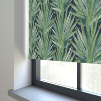 Aloe Rumba Roller Blind